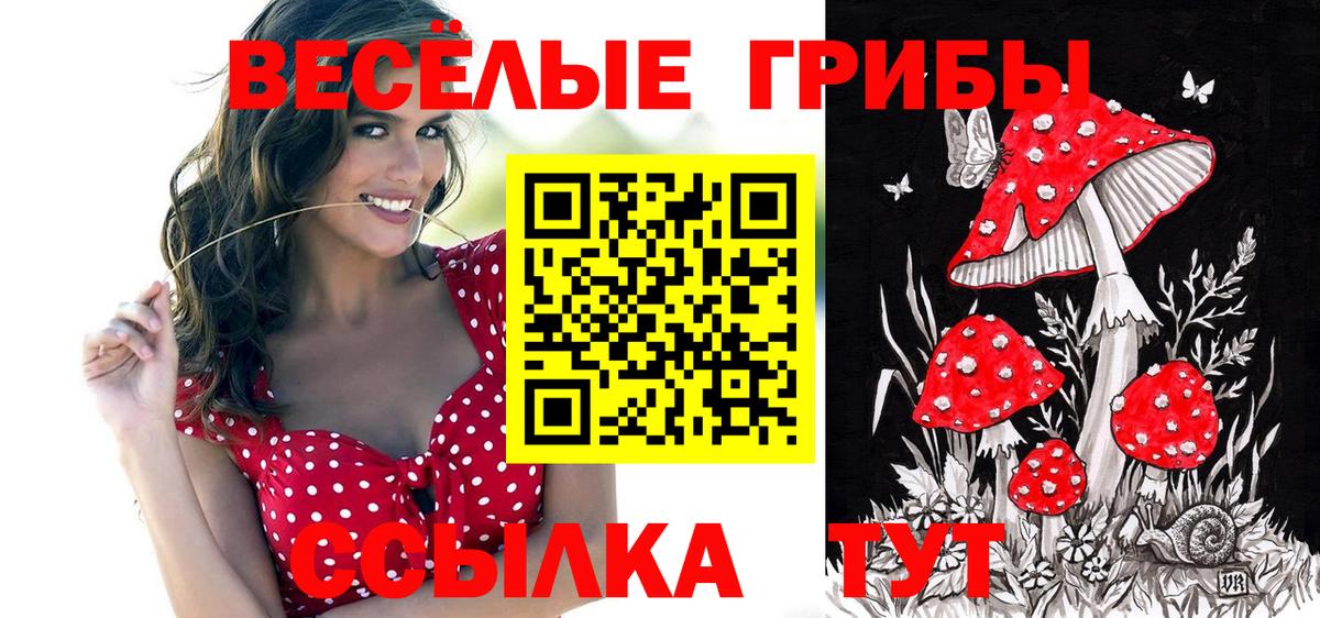 Красногорск  Псилоцибиновые грибы MAGIC MUSHROOMS  купить закладку  Вход с VPN 